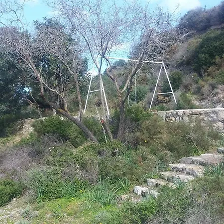 Zini 1 *