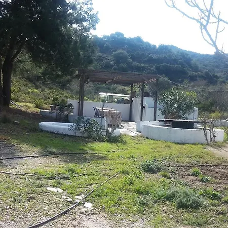 Zini 1 * Kefalos (Kos)